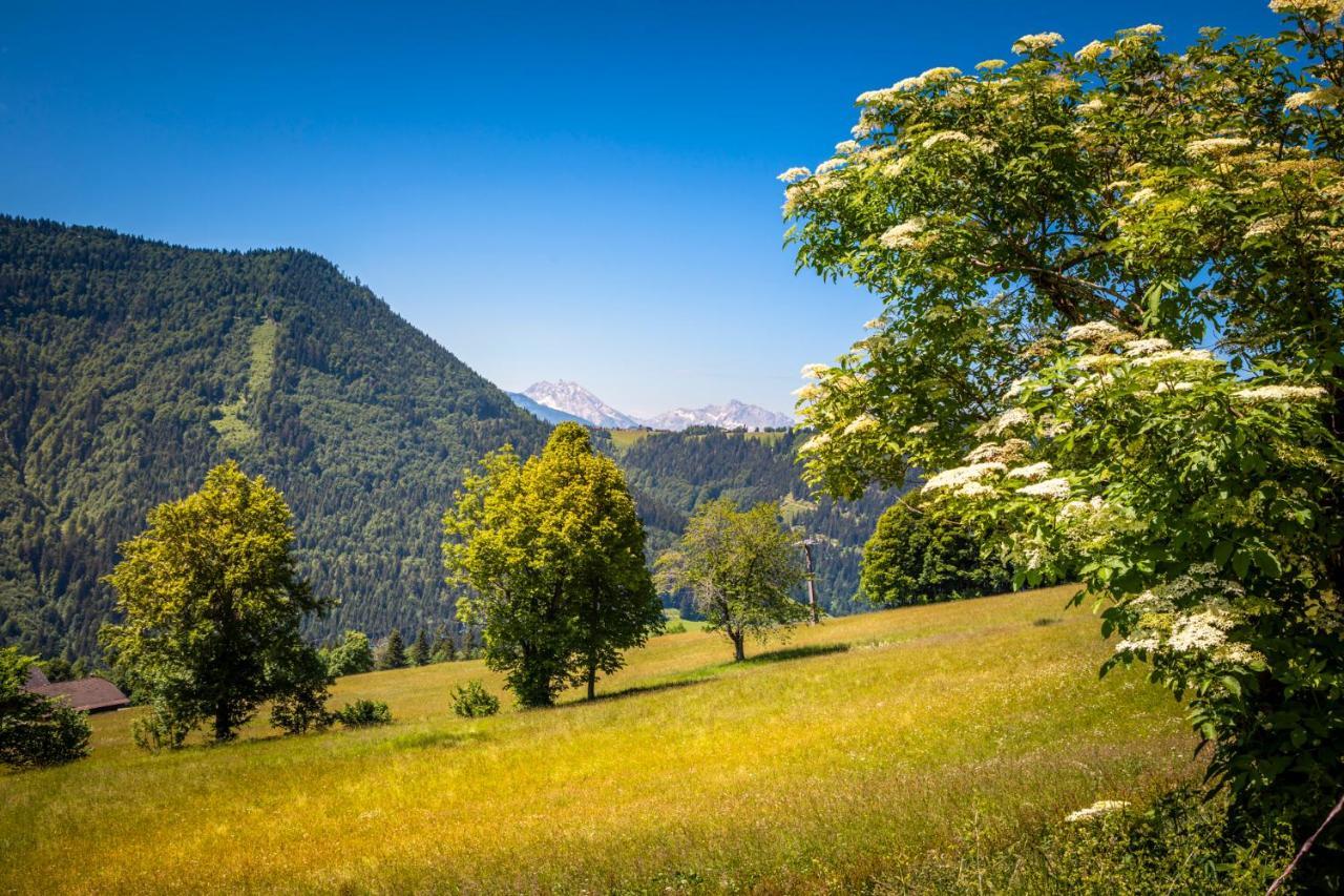 Appartement Reitlhof, Bio Berg Bauernhof Krispl Bagian luar foto