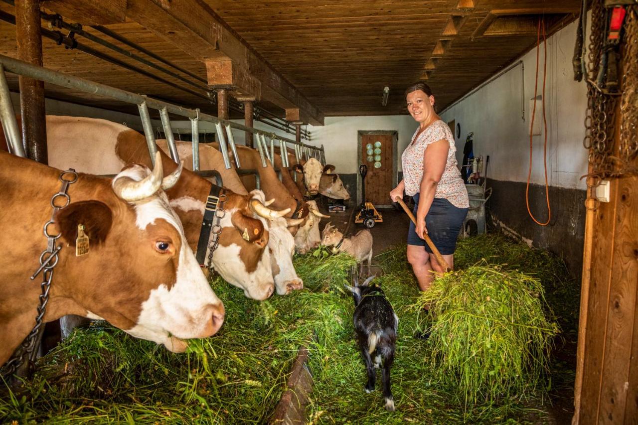Appartement Reitlhof, Bio Berg Bauernhof Krispl Bagian luar foto